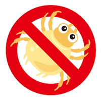 Gegen Hausstaubmilben